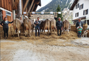 biver malin  meyer felix andermattp