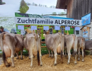 genox boy alperose  zemp franz  p.